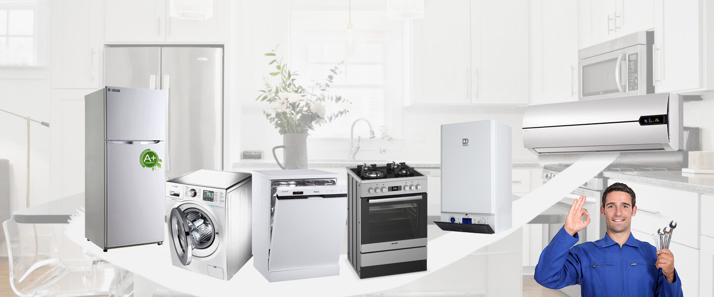 Kemer Electrolux Servisi